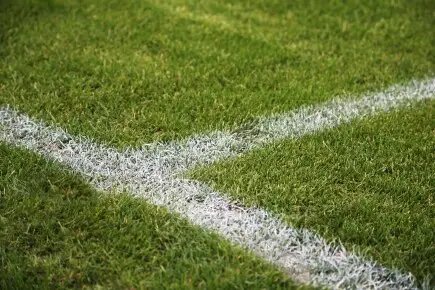 Artigos - Quanto dinheiro pedir em uma campanha de arrecadação de fundos para construir um campo esportivo para uma escola